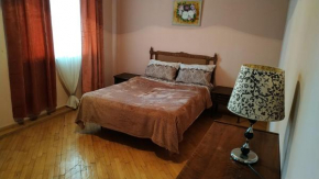 Apartment on Pushkin 50 Street